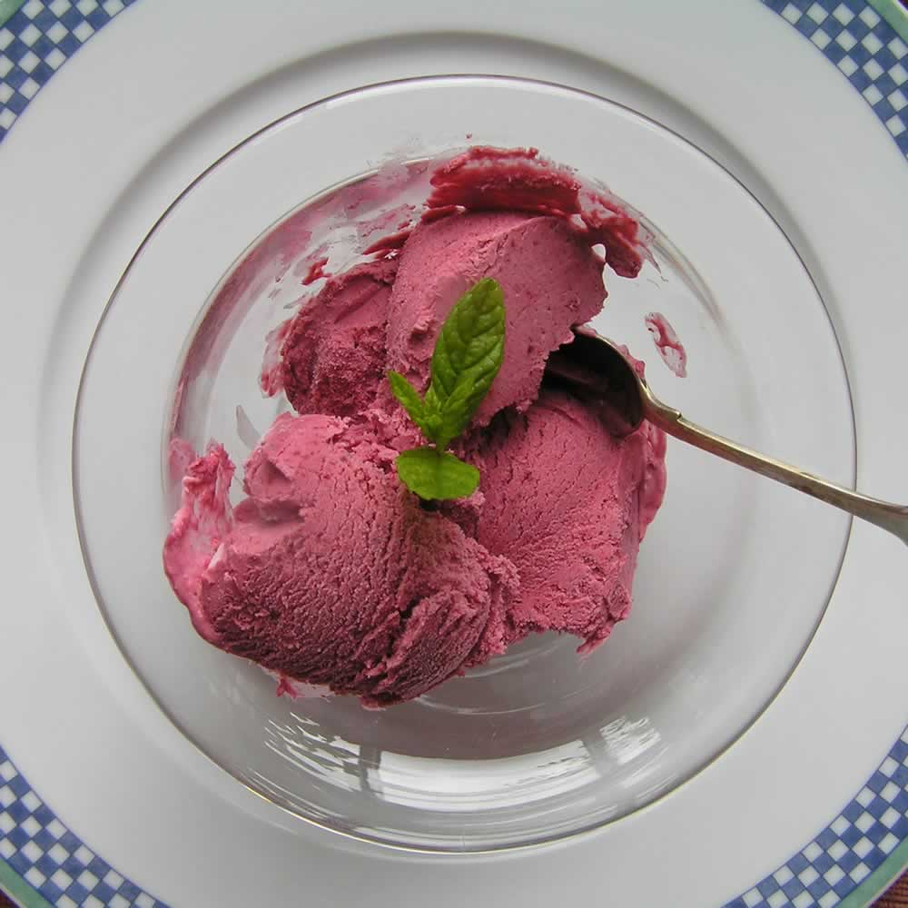 Festival Blackcurrant Gin Ice Cream