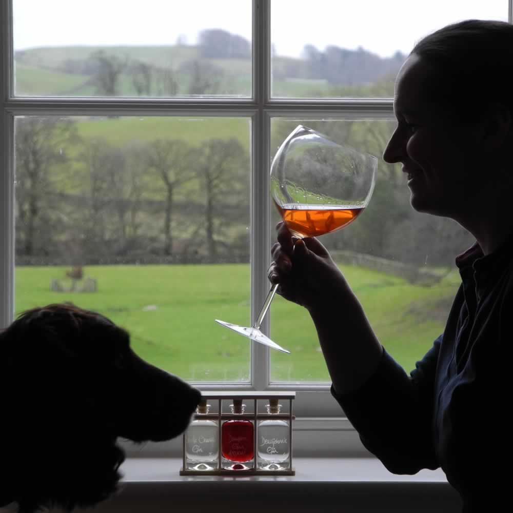 Recipe for our new Yummy Mummy Cocktail (NB. Spaniel not included!)