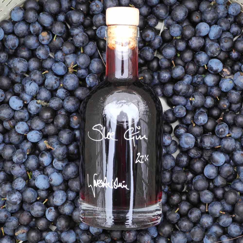 Sloe Gin Rickey Cocktail