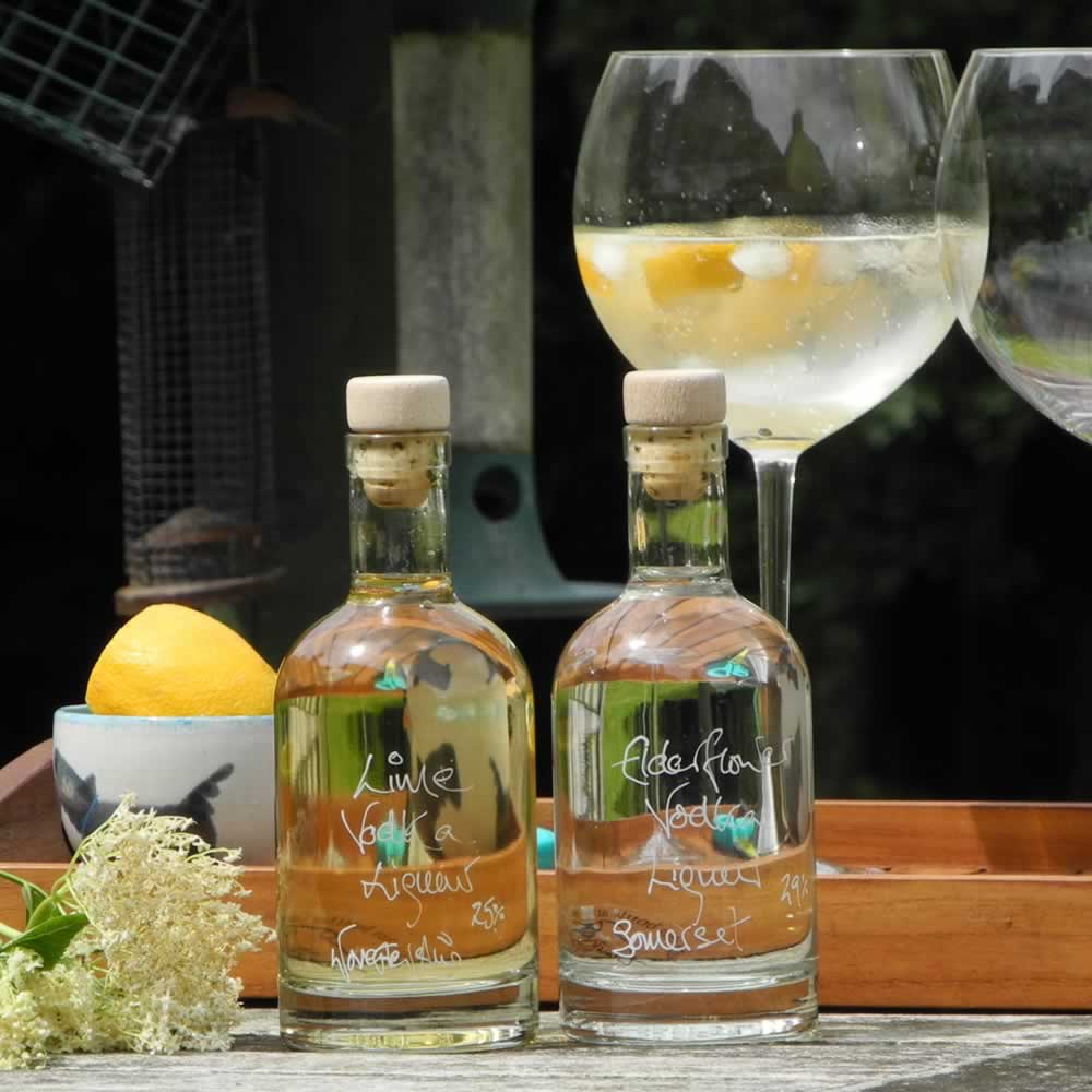 Elderflower Vodka Cooler