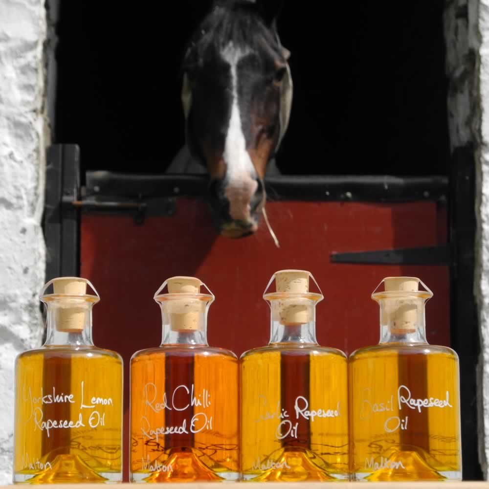 The Infused Oil Collection with Lemon Rapeseed Oil, Red Chilli Rapeseed Oil, Garlic Rapeseed Oil and Basil Rapeseed Oil in refillable 200ml bottles displayed in front of a horse in his stable