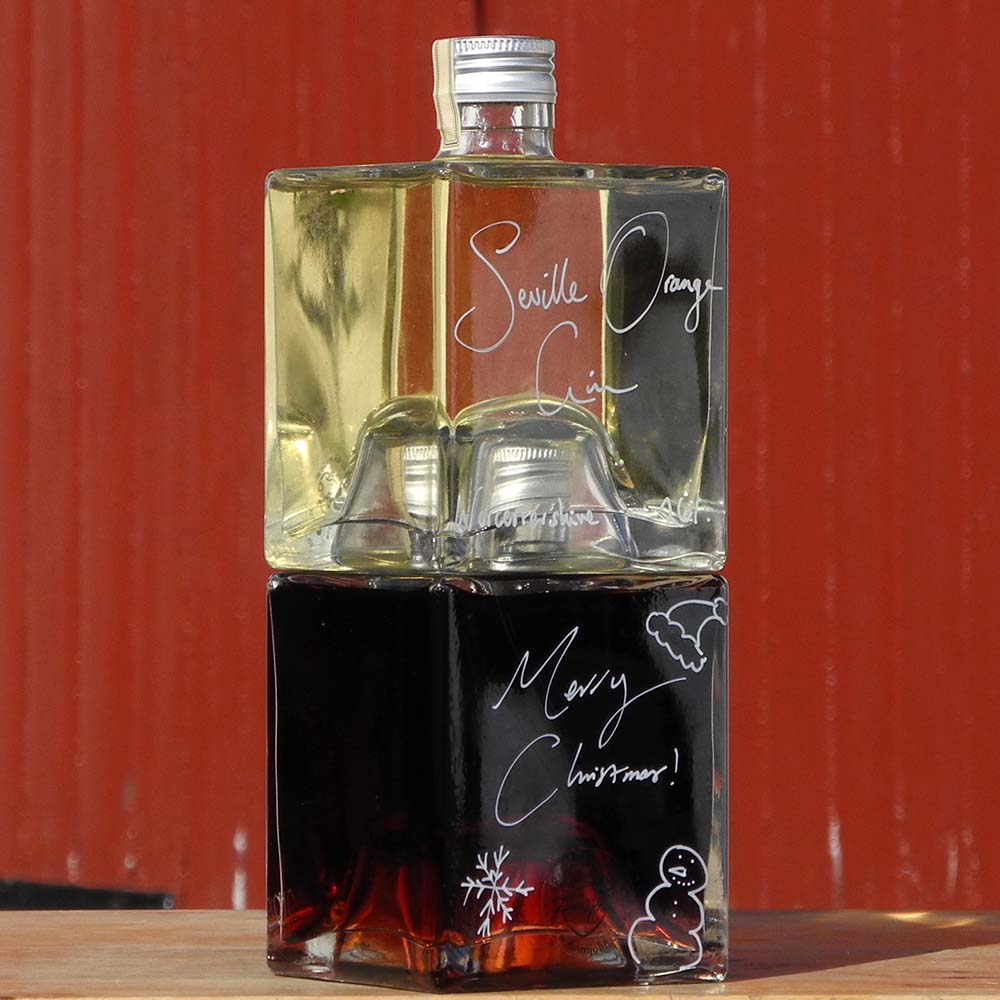Seville Orange Gin and Sloe Gin Christmas Gift Set