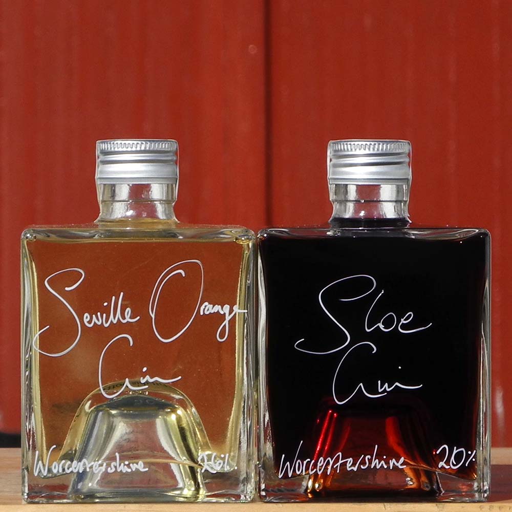 Seville Orange Gin and Sloe Gin Stacking Gift Set