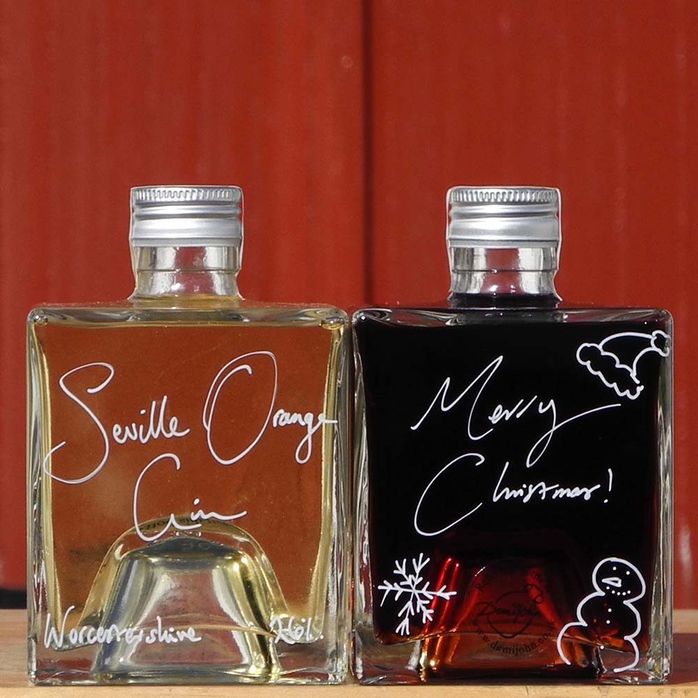 Seville Orange Gin and Sloe Gin Christmas Gift Set