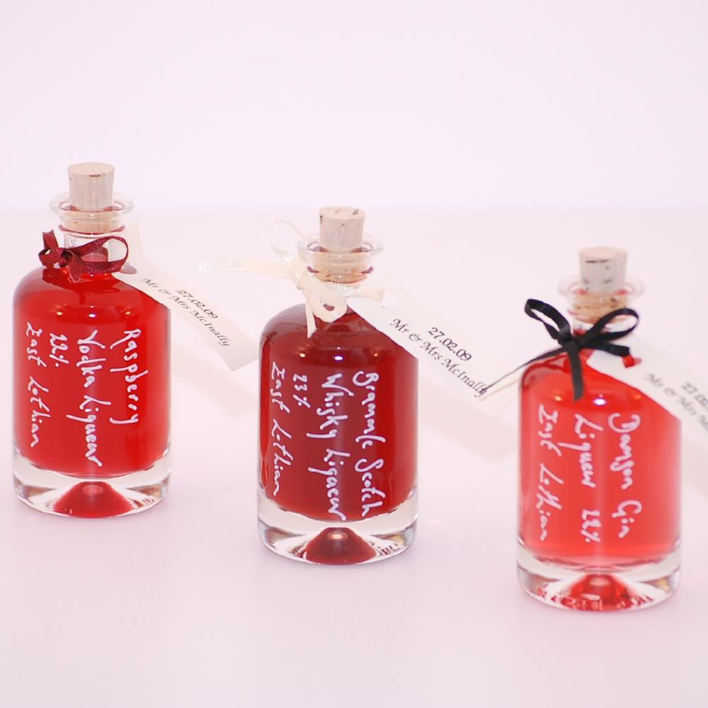 Raspberry Vodka 22% (40ml bottle)
