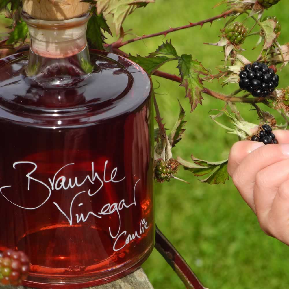 Bramble Vinegar