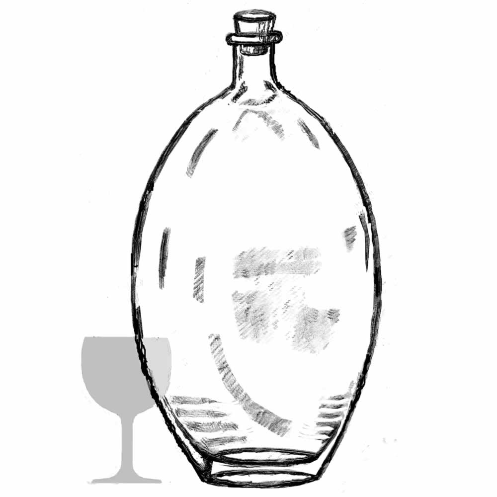 Salmo 3000ml Bottle