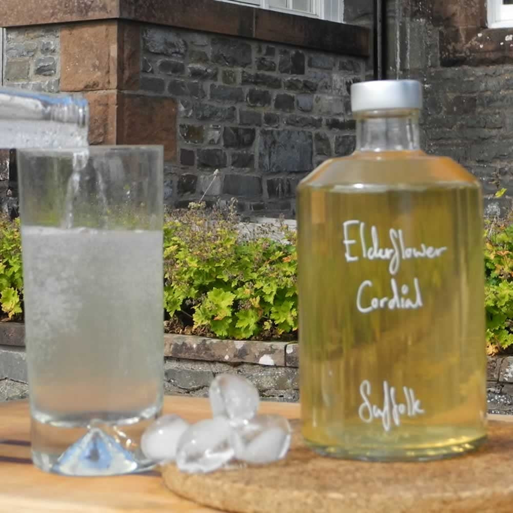 Elderflower Cordial 