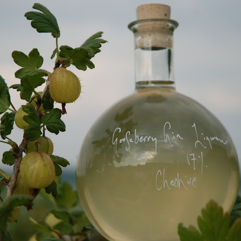 Gooseberry Gin Liqueur 17%