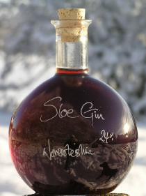 The Demijohn News - Welcome Sloe Gin Season