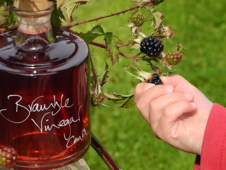 Bramble season has begun! Try our delicious range of fruit vinegars on your salads