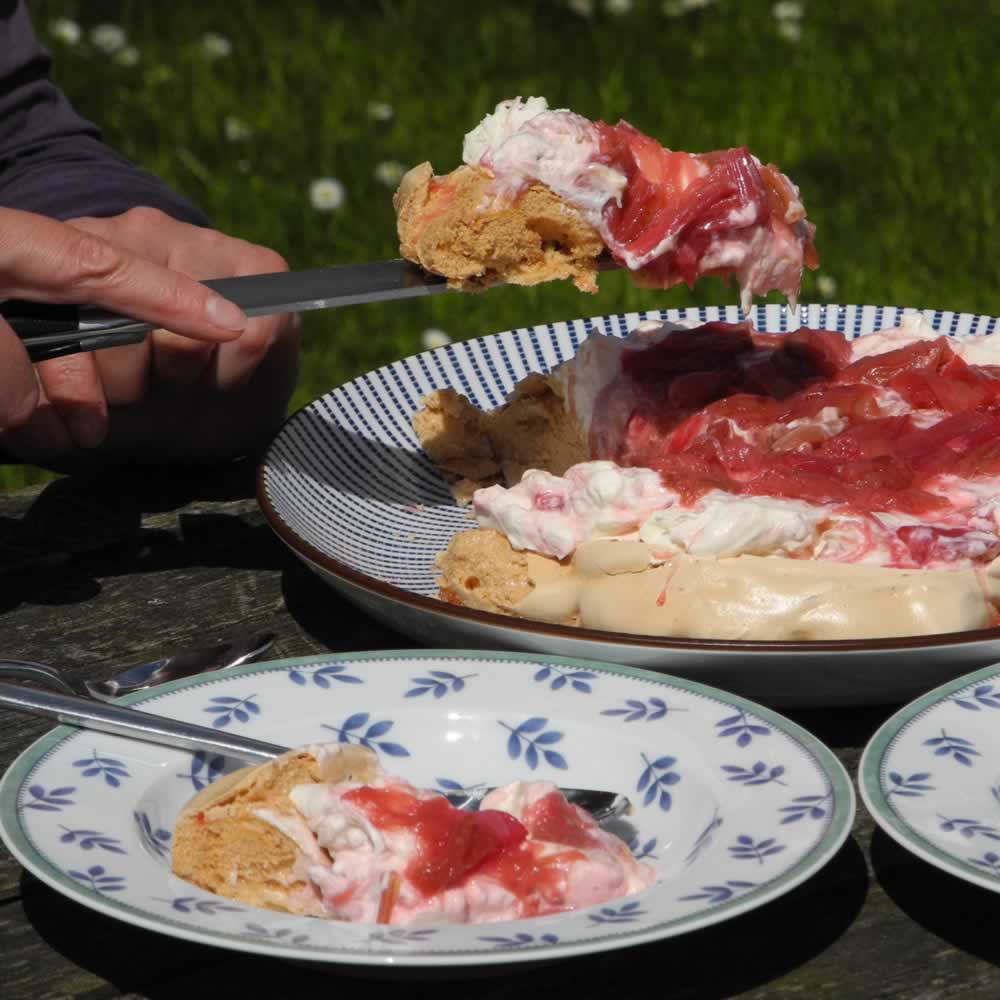 Rhubarb and Mead Pavlova