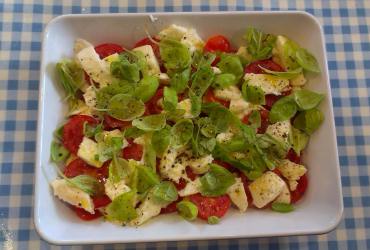 A Simple Tomato and Basil Salad