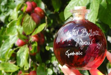 Wild Bullace Liqueur in a Sfera 500ml bottle