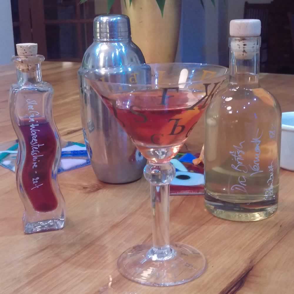 Sloe Gin Martini