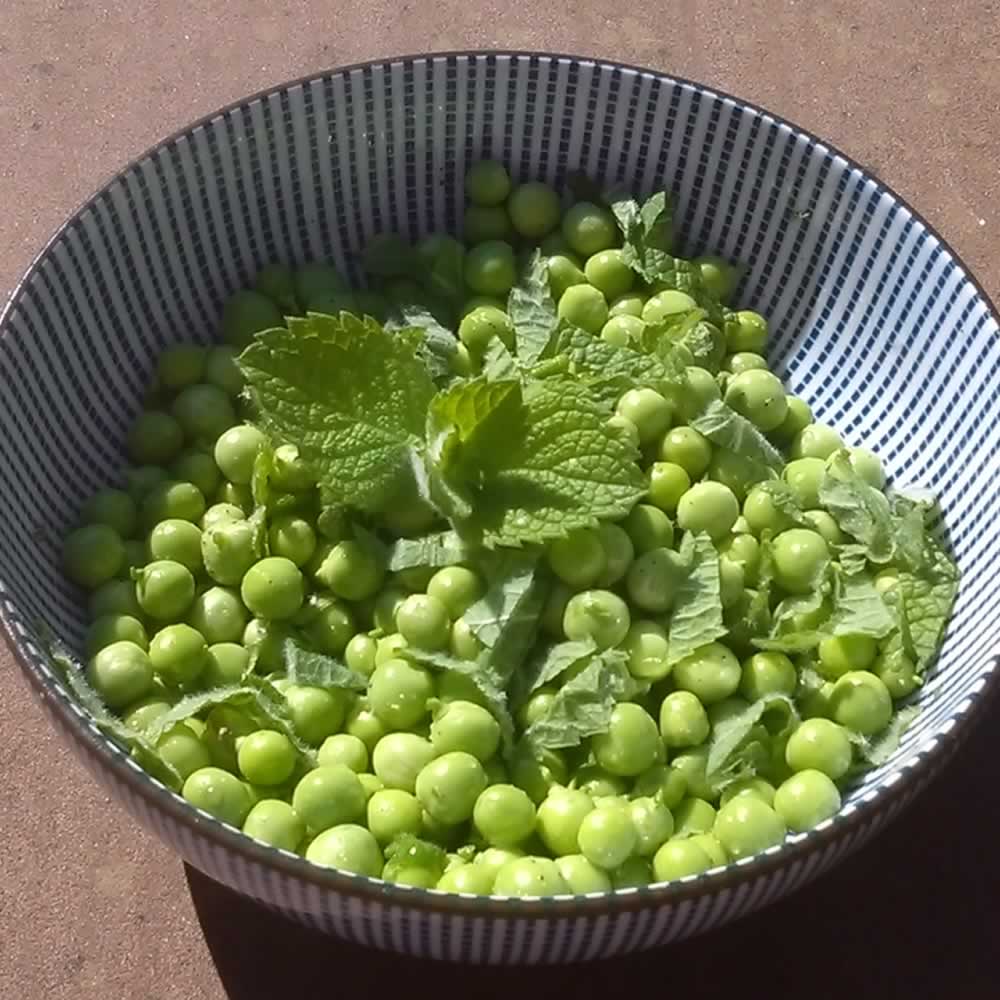 Pea and Mint Salad