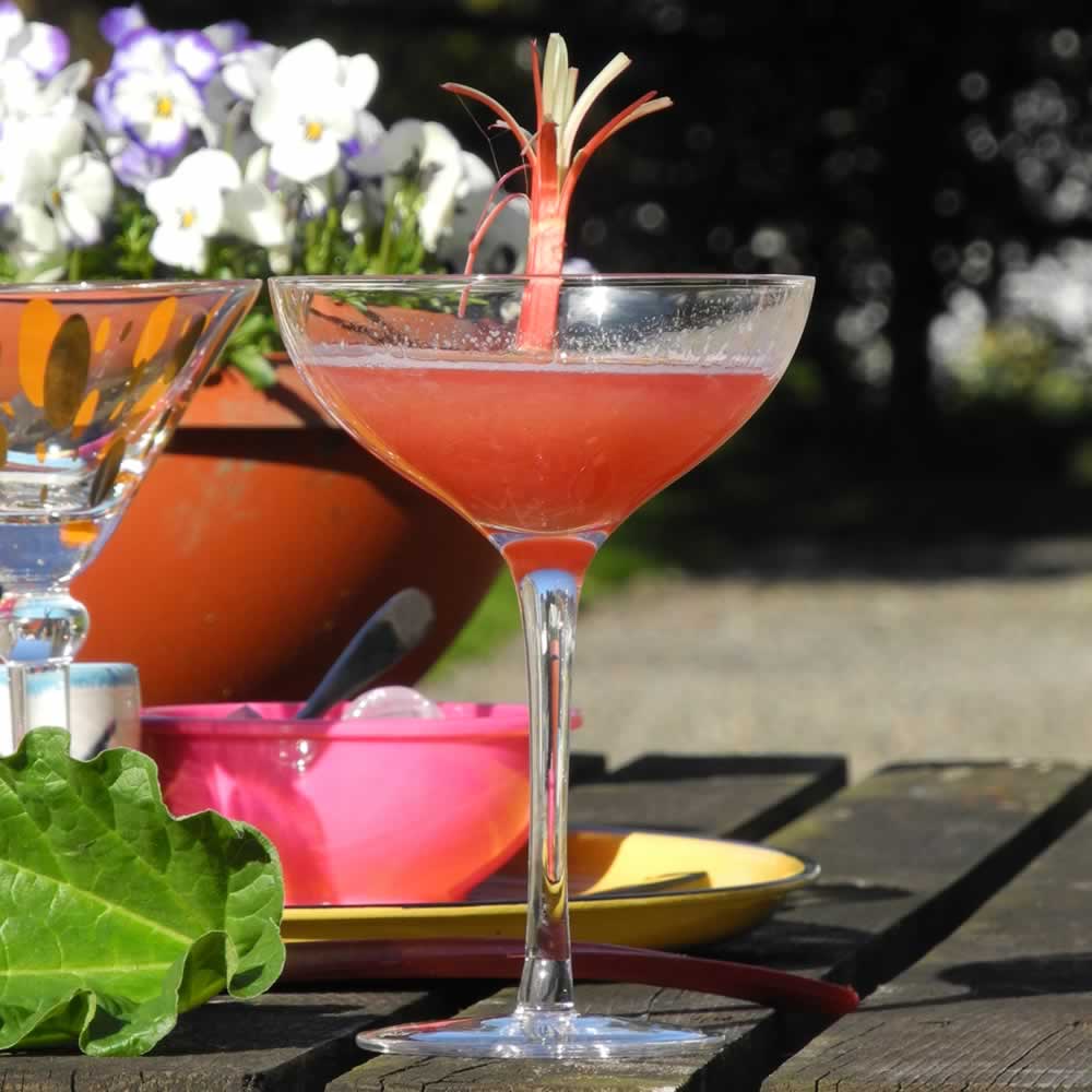 Royal Rhubarb and Ginger Cosmopolitan Cocktail