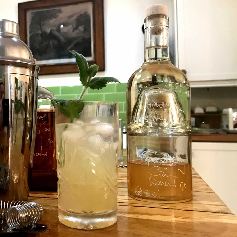 The Gin Gin Mule - with a Gooseberry Twist Cocktail