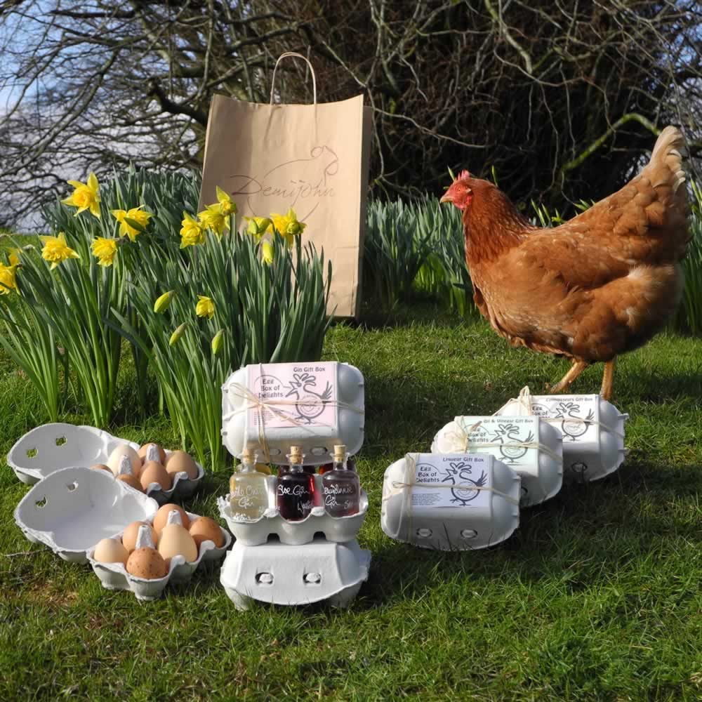 Eggs-citing sustainable Easter treats from Demijohn