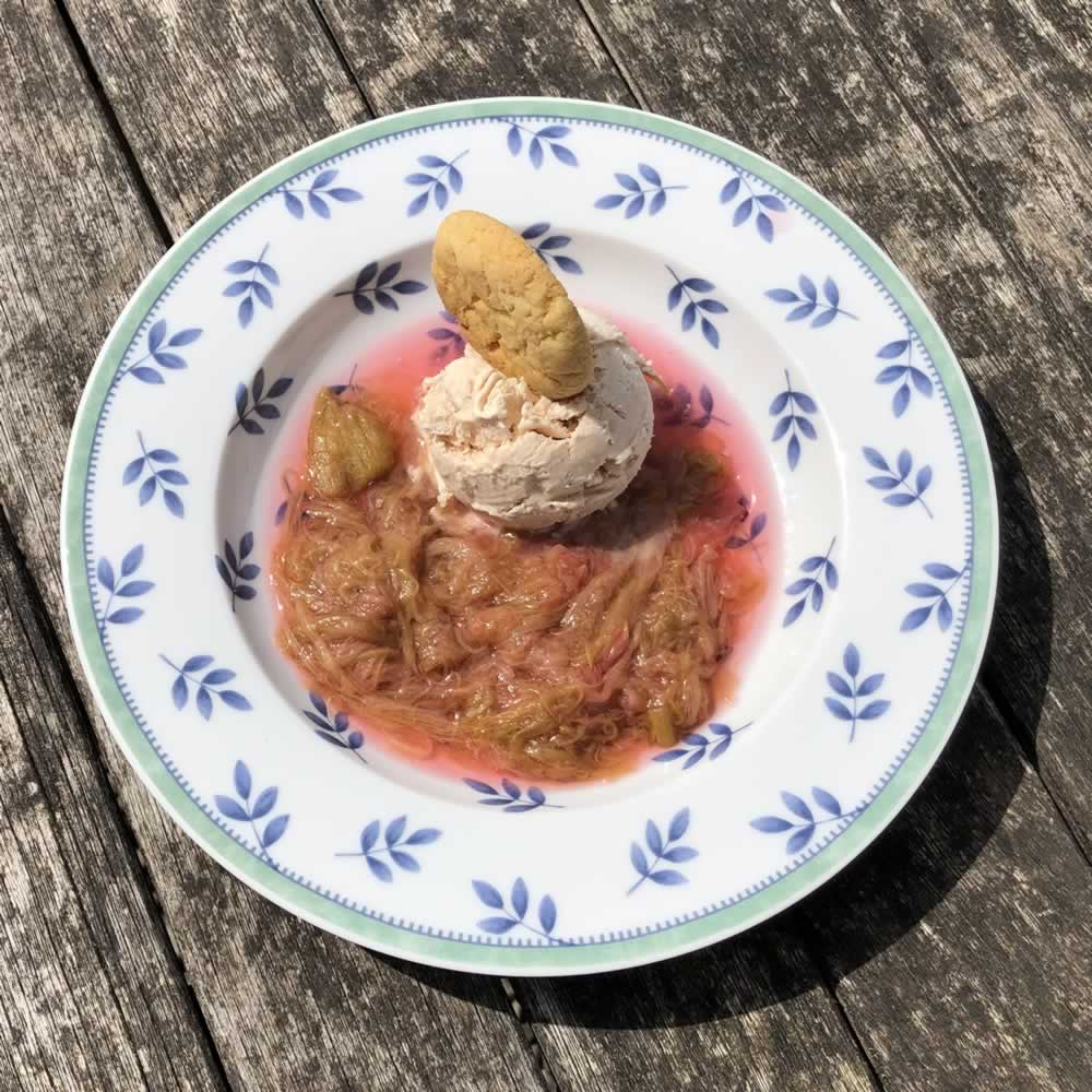 Rhubarb Ice Cream using our delicious Rhubarb &amp; Ginger Cordial