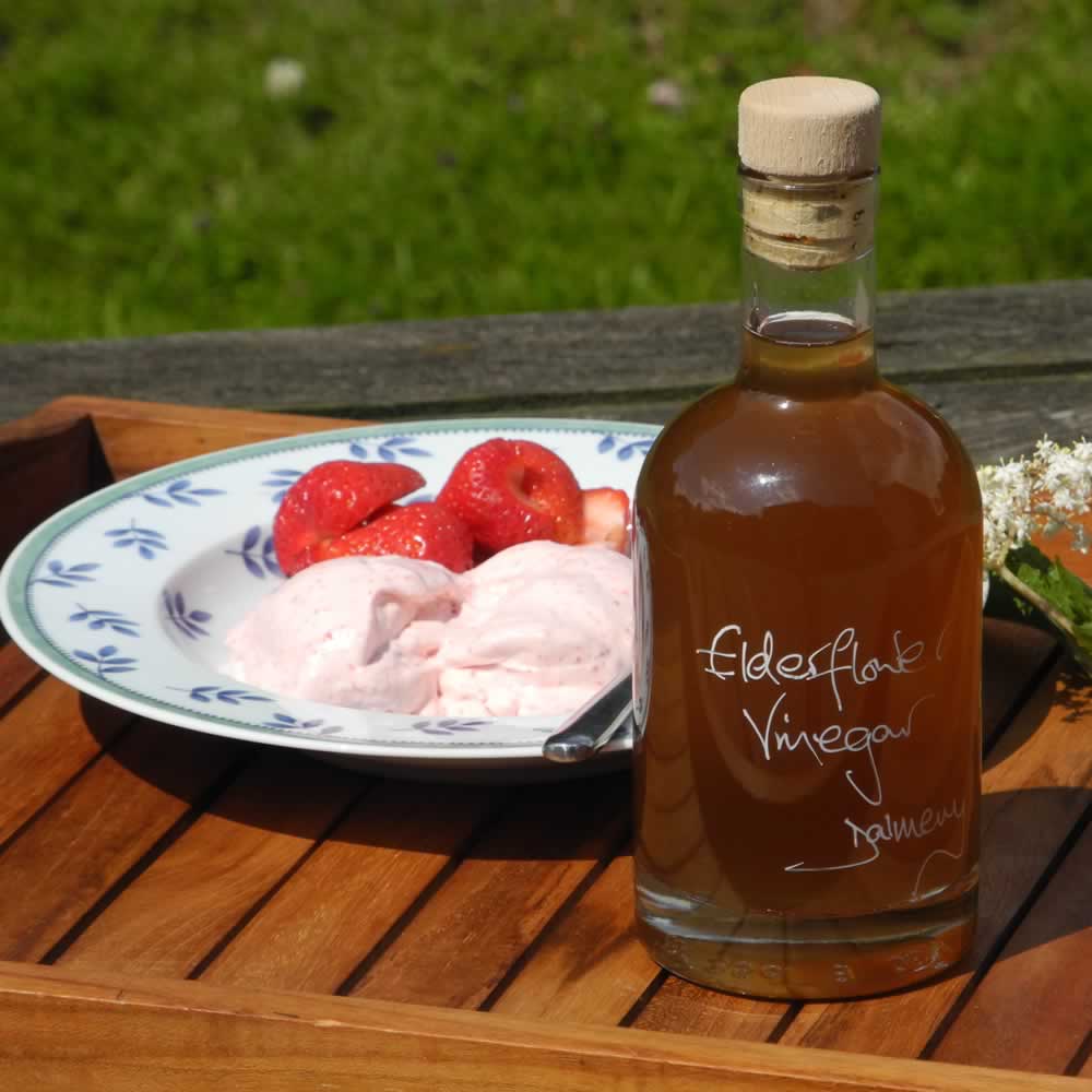Elderflower Vinegar drizzled on fresh strawberries and Strawberry Ice Cream