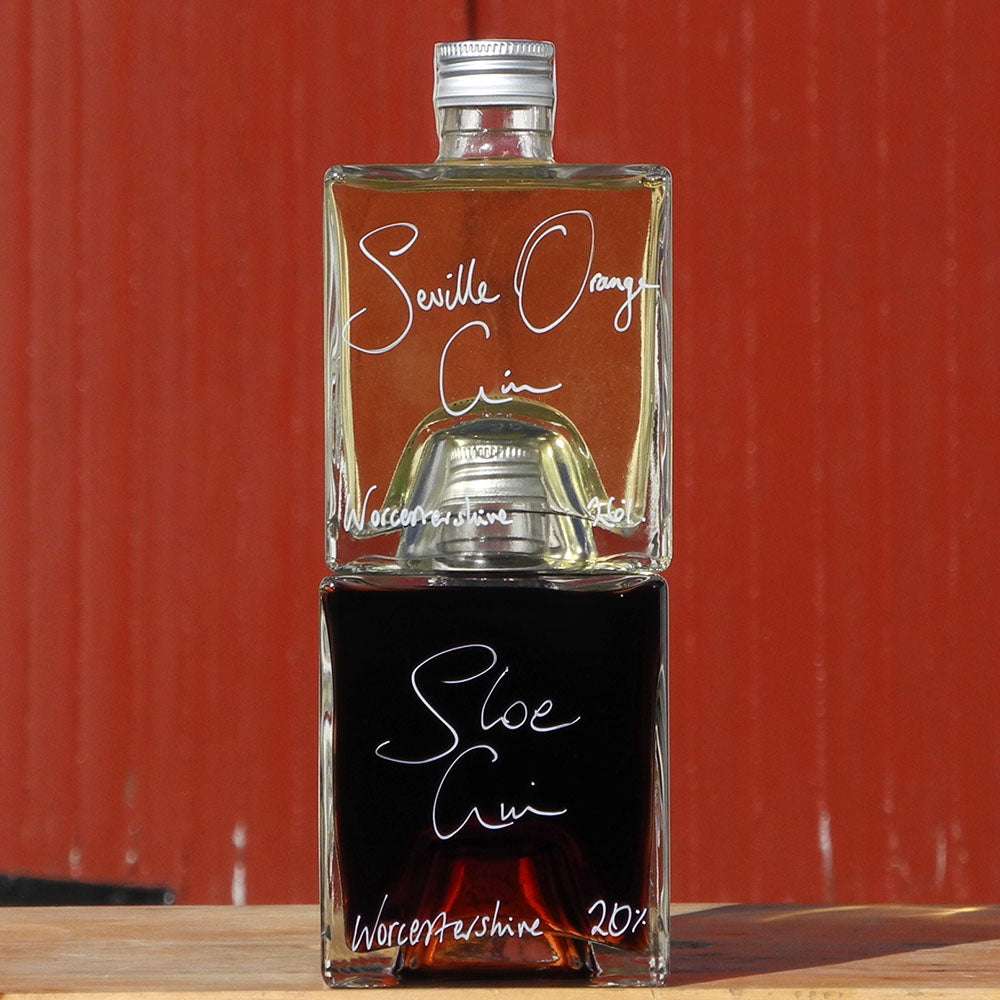Seville Orange Gin and Sloe Gin Stacking Gift Set