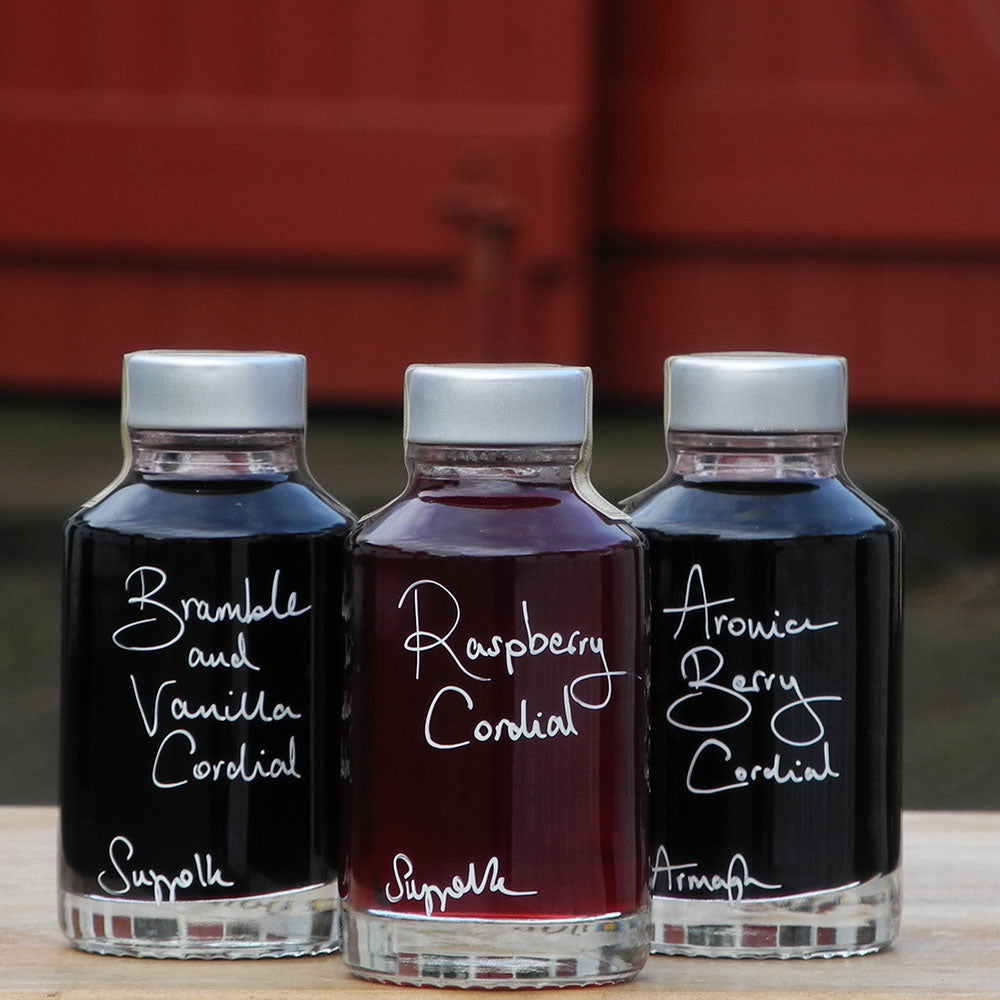 Mini Seriously Fruity Alcohol Free Gift Set consisting of three 100ml bottles containing handmade Bramble and Vanilla Cordial, Raspberry Cordial and Aronia Berry Cordial with handwritten bottle labels in white pen that can be personalised. 