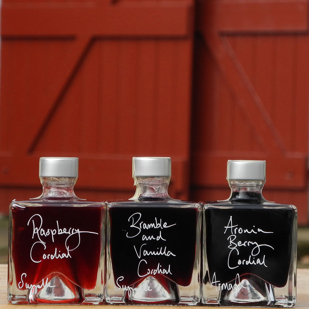 A gift set of three cube shaped, 100ml glass bottles on a wooden surface, each filled with a different handmade alcohol free drink: Raspberry Cordial, Bramble and Vanilla Cordial, and Aronia Berry Cordial, with white handwritten labels. A red barn door is in the background.