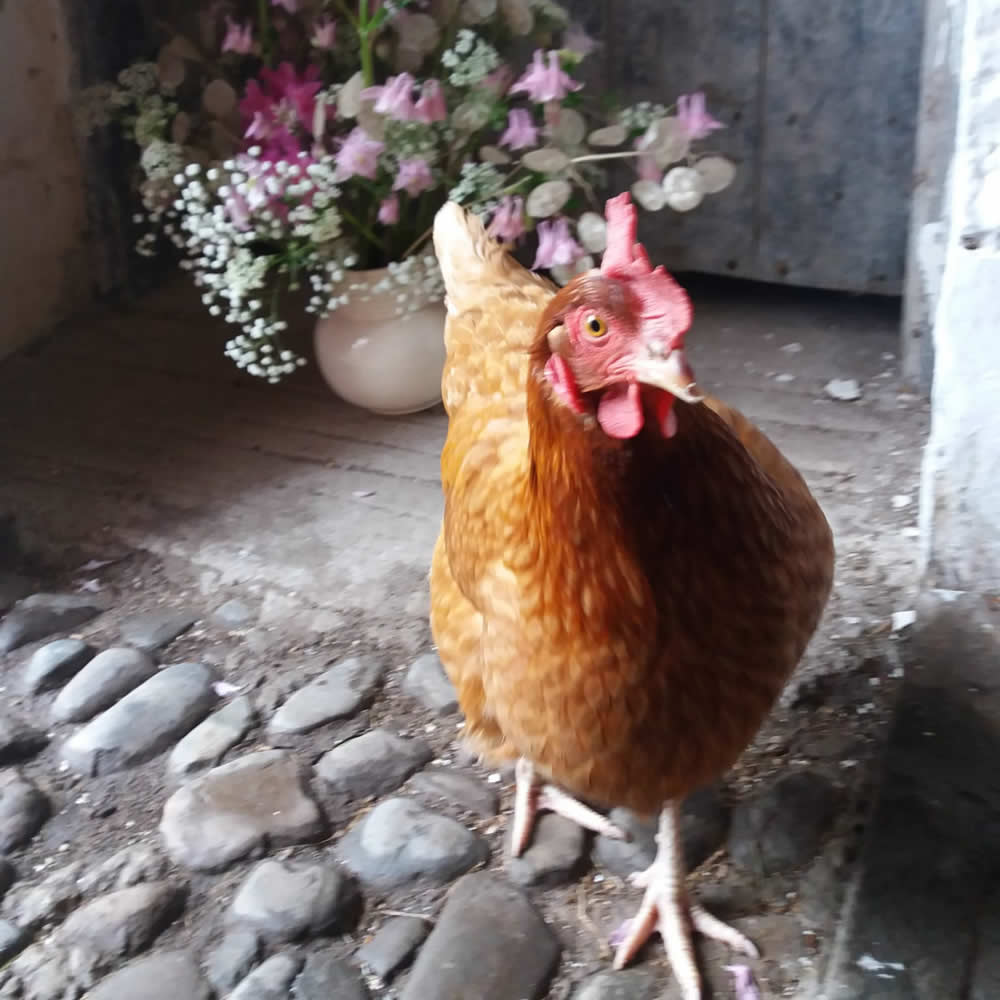 Demijohn's Big Spring Weekend - Sat 23 to Mon 25 May 2026