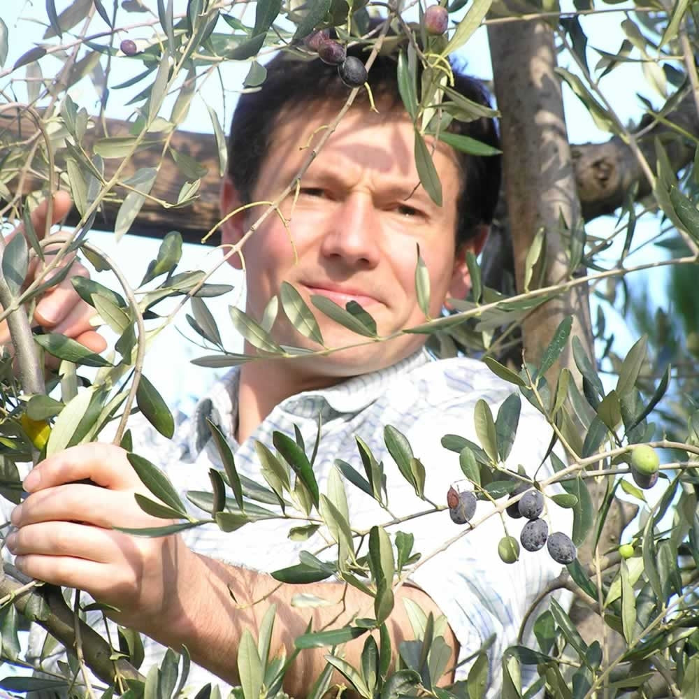 Angus pickiing his own olives at Villa Montalbano Estate in 2004
