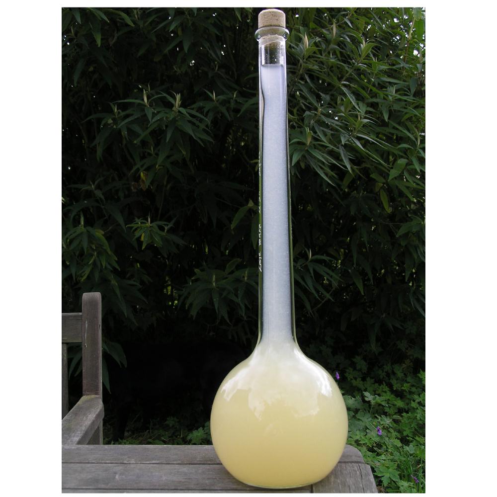 Tulipano 1500ml Bottle