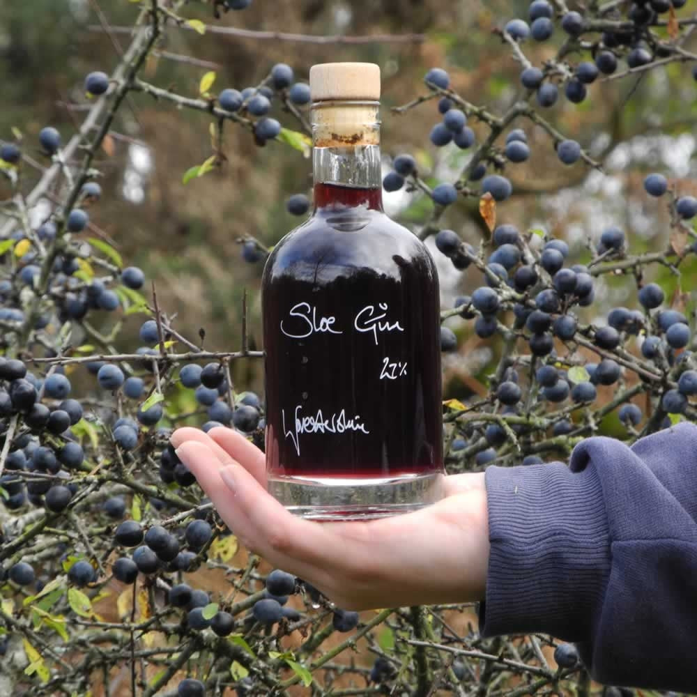 World's Best Sloe Gin