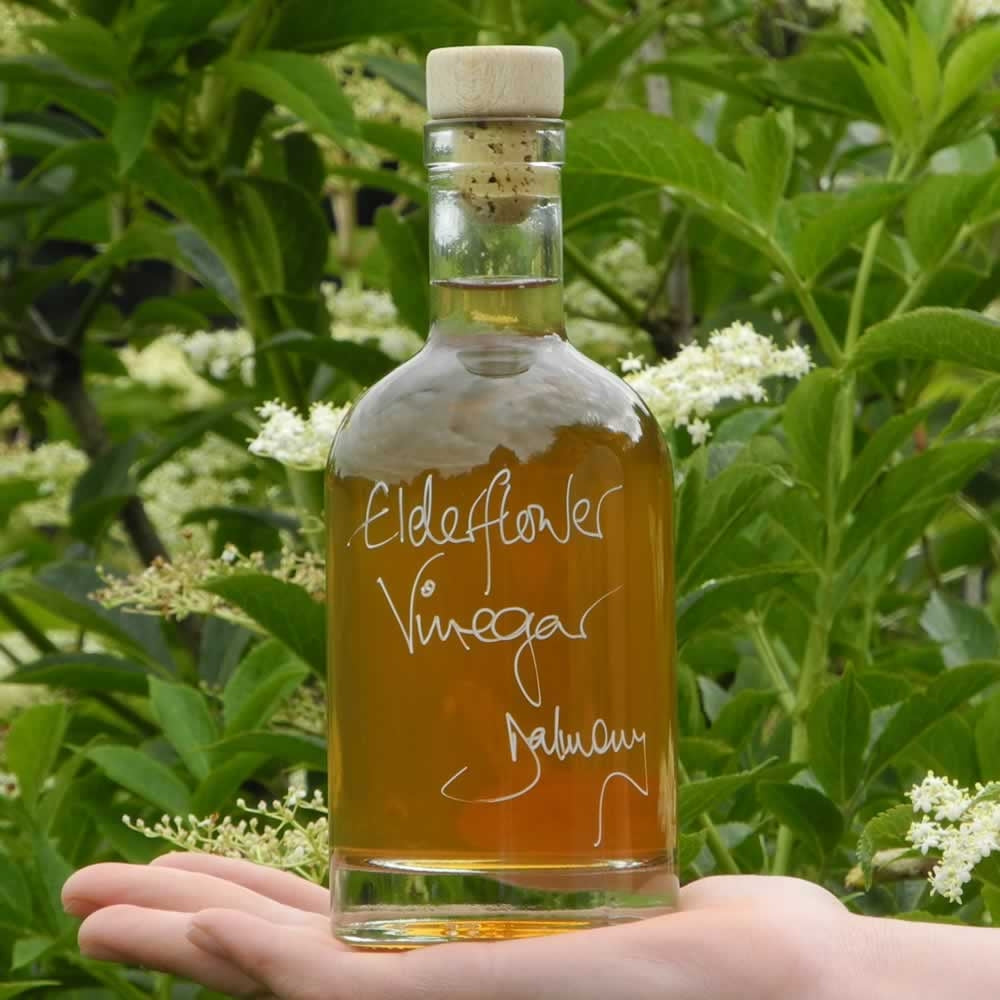 Elderflower Vinegar