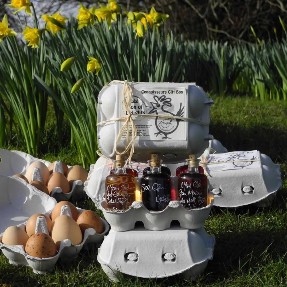 Egg Box of Delights - Connoisseur's Gift Set