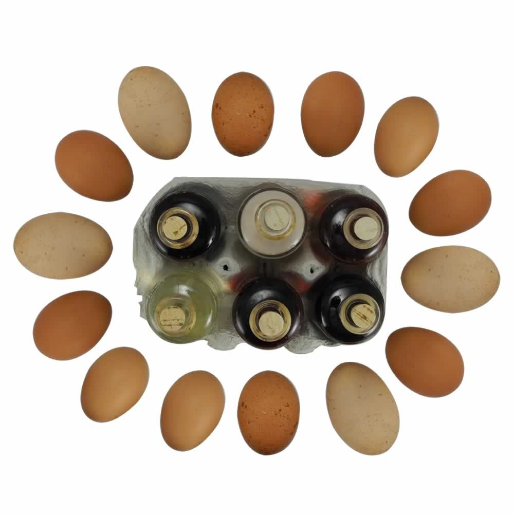 Egg Box of Delights - Oil and Vinegar Gift Set
