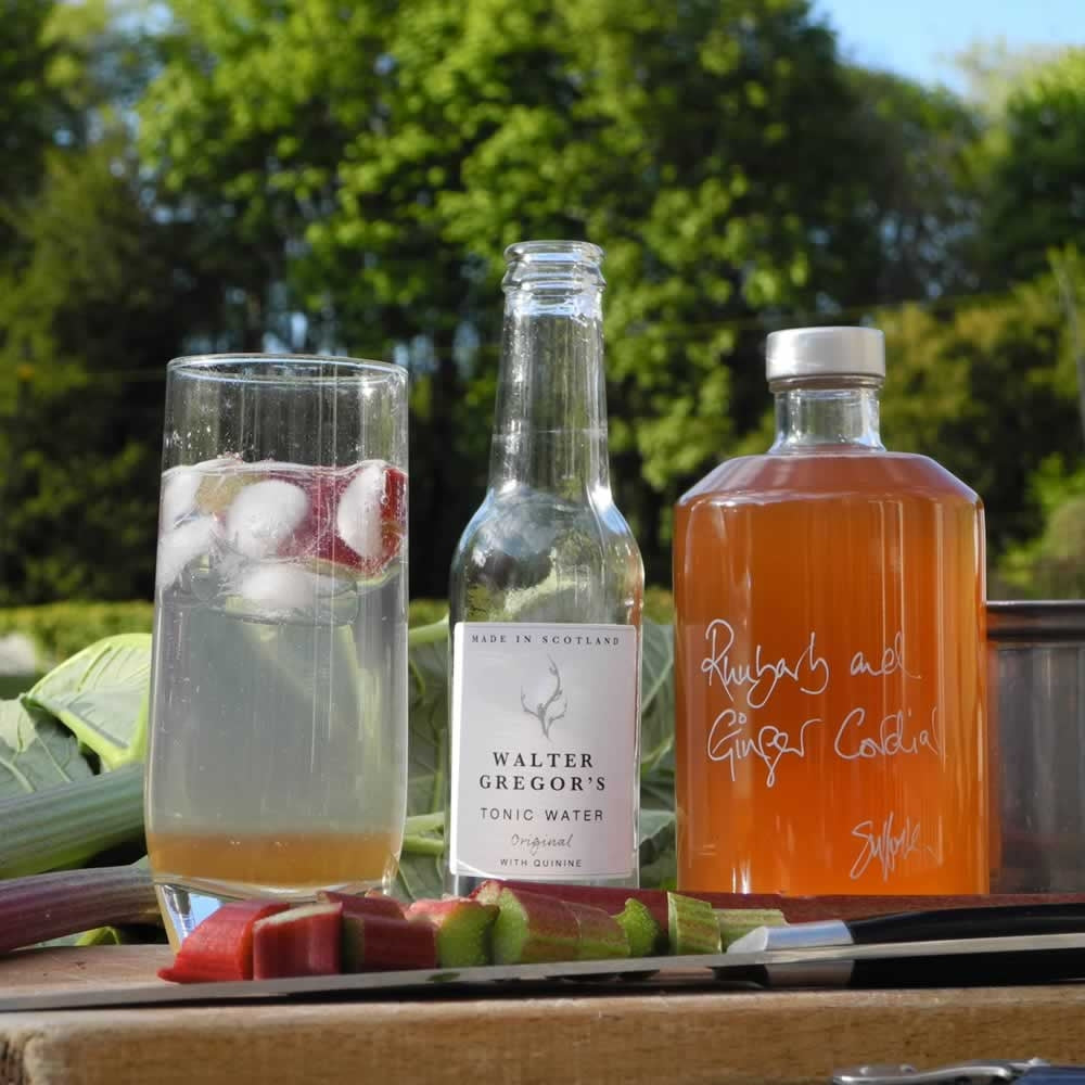 Rhubarb & Ginger Cordial