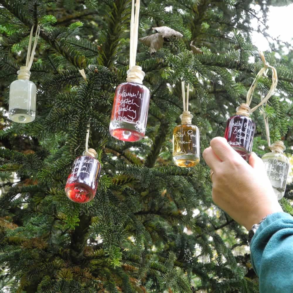 12 Apothekers of Christmas (Set of 12 Liqueur Miniatures)