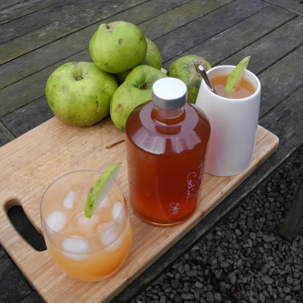 Handmade Spiced Apple Cordial 