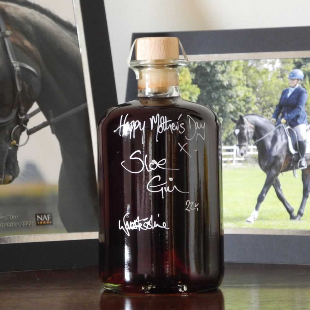 Sloe Gin (500ml)